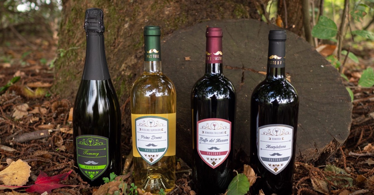 Vendita vini dell'oltrepò pavese - Fratelli Pastore
